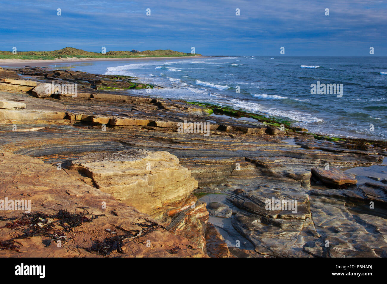 Küste von Northumberland, Bamburgh Castle, Vereinigtes Königreich, England Stockfoto