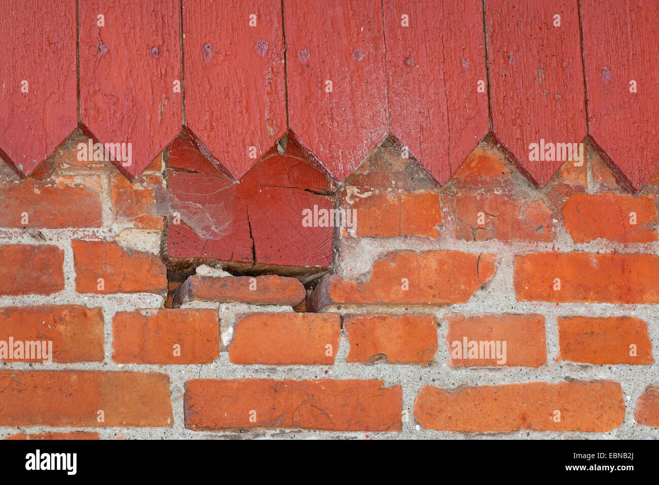 Spalten und Nischen im Mauerwerk als Unterschlupf für Tiere, Deutschland Stockfoto