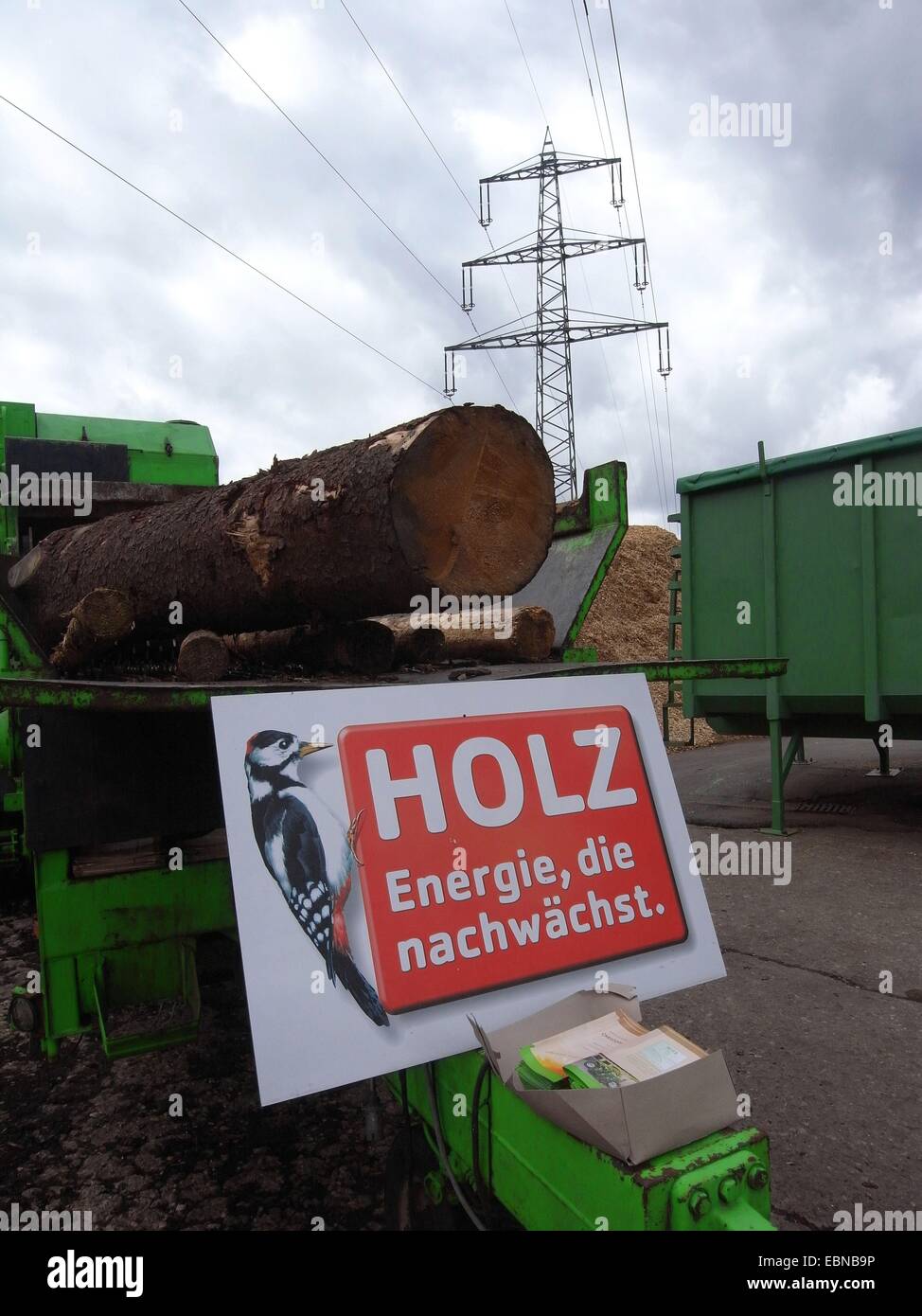 Holz und Energie, Log und Power Pole, Symbol für erneuerbare Energien, Deutschland Stockfoto