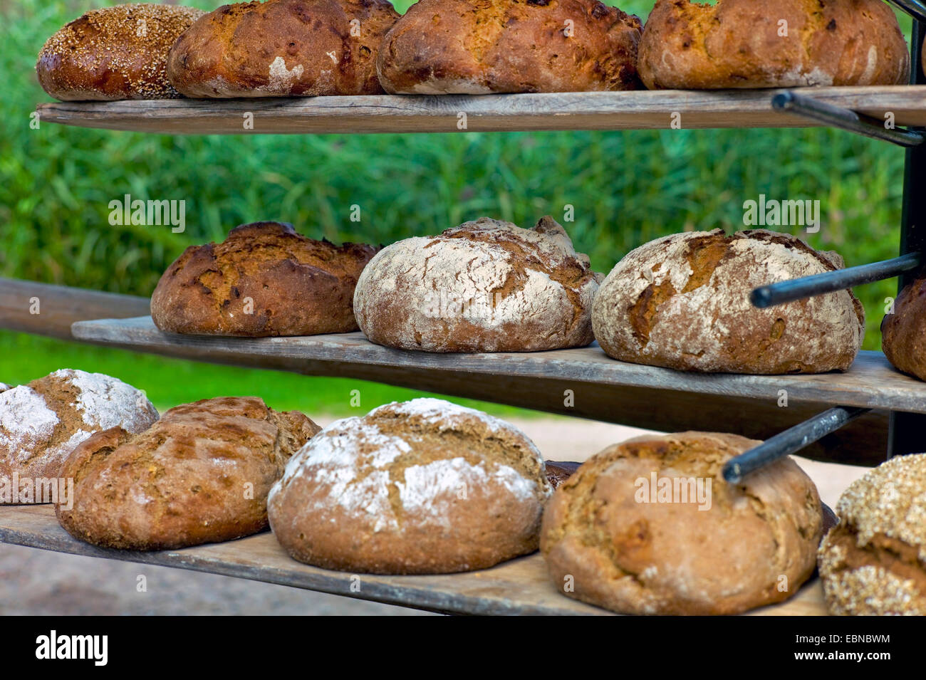frisch gebackenes Brot in der Nähe von gezüchteten Beaking Haus, Deutschland, Mecklenburg-Vorpommern, Klockenhagen Stockfoto