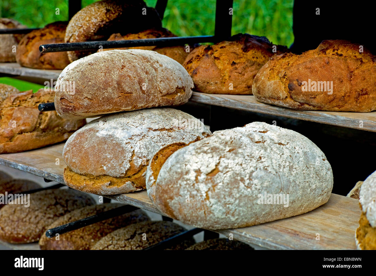 frisch gebackenes Brot in der Nähe von gezüchteten Beaking Haus, Deutschland, Mecklenburg-Vorpommern, Klockenhagen Stockfoto