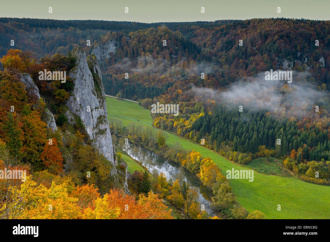 Naturschutzgebiet Stiegelesfels im oberen Donautal im Herbst, Deutschland, Baden-Württemberg, Schwäbische Alb Stockfoto