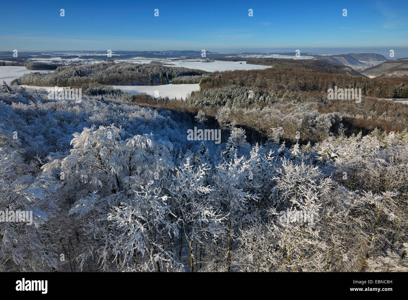 Biosphärenreservat sch.ools.it Alb im Winter, Deutschland, Baden-Württemberg Stockfoto