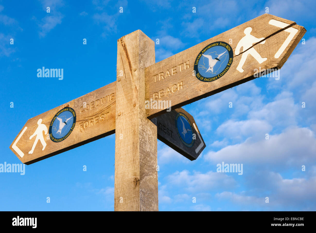 Isle of Anglesey Coastal Path Wanderweg Schild mit dem gehen Mensch und Logo zeigt drei verschiedene Möglichkeiten. Rhosneigr ANGLESEY Wales England Großbritannien Stockfoto