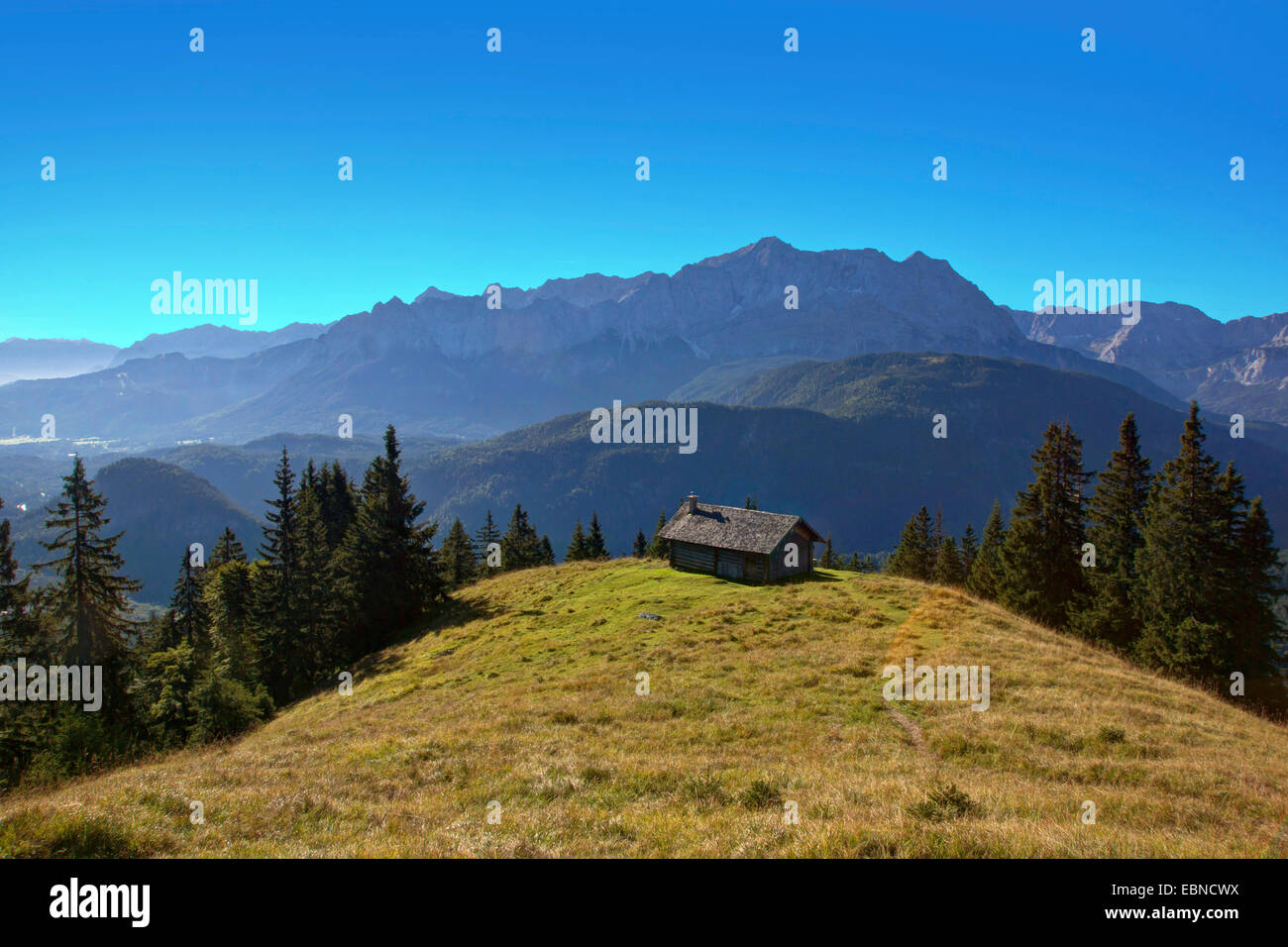 Almhütte auf einer Almwiese, Blick auf Wettersteingebirge mit Zugspitze, Deutschland, Bayern, Oberbayern, Oberbayern Stockfoto
