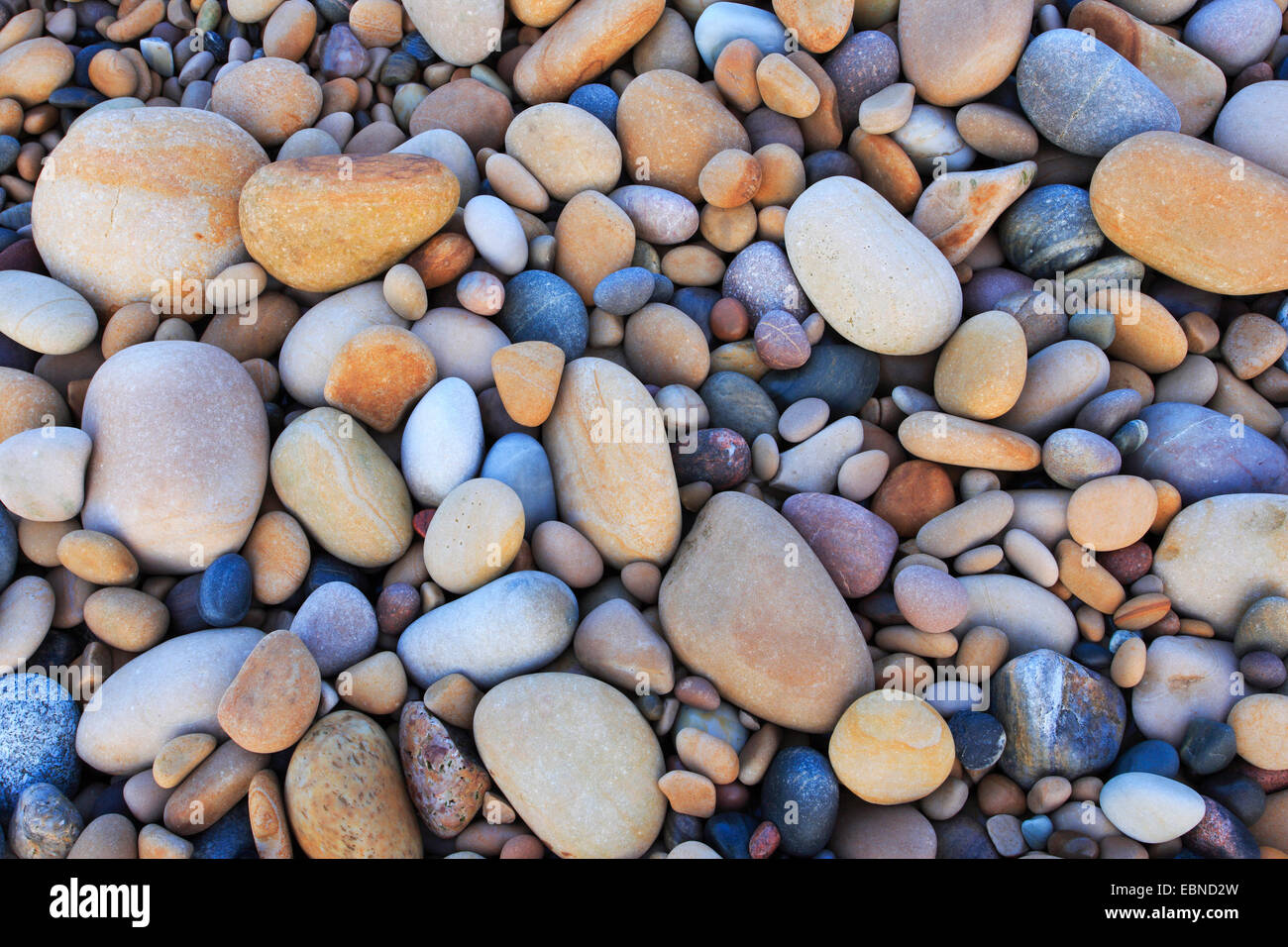 Kieselsteine am Strand, Großbritannien, Schottland Stockfoto