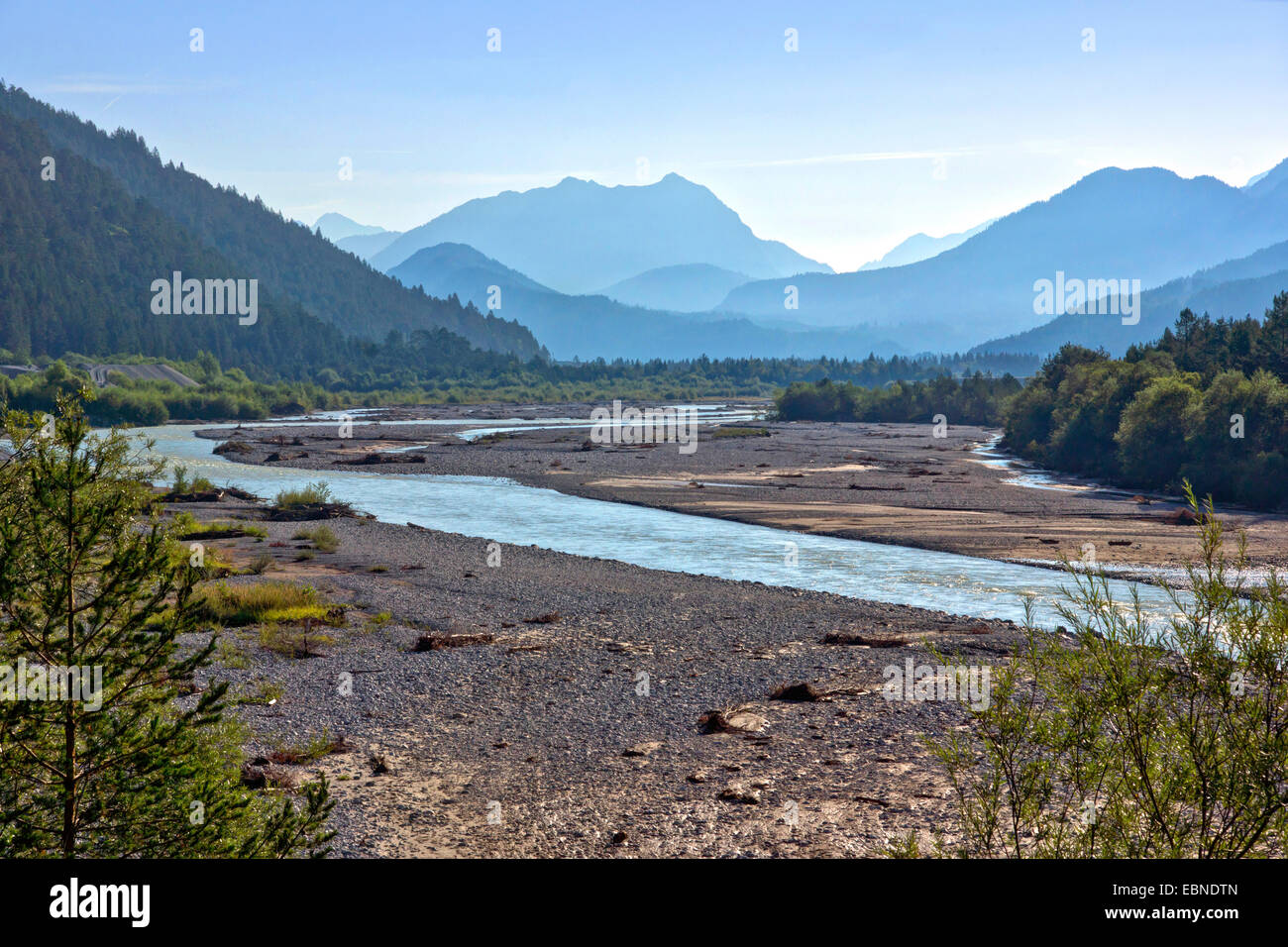 Fluss Blutegel, Ammergauer Alpen im Hintergrund, Österreich, Tirol, Lechtaler Alpen Stockfoto