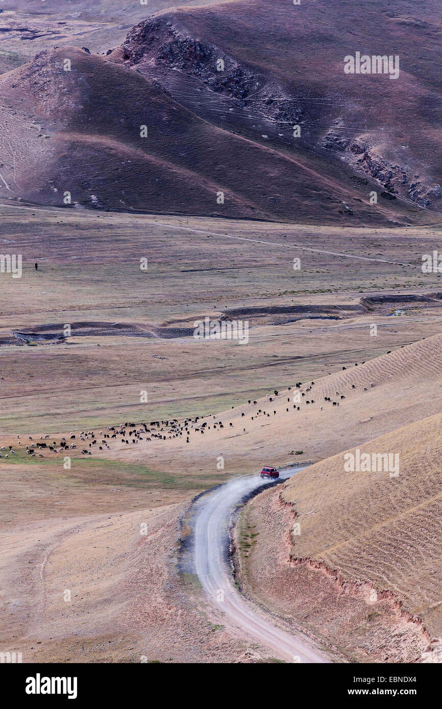 Auto auf Landstraße in Abfall Hügellandschaft, Kirgisistan, Kochkor Stockfoto