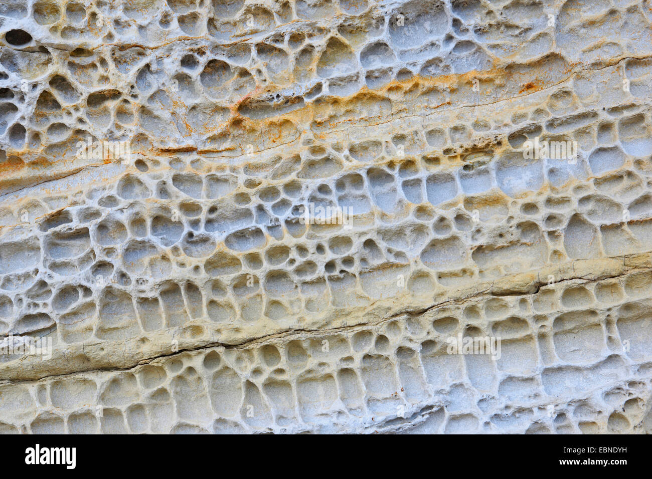 Salzverwitterung von Sandstein, Großbritannien, Schottland Stockfoto
