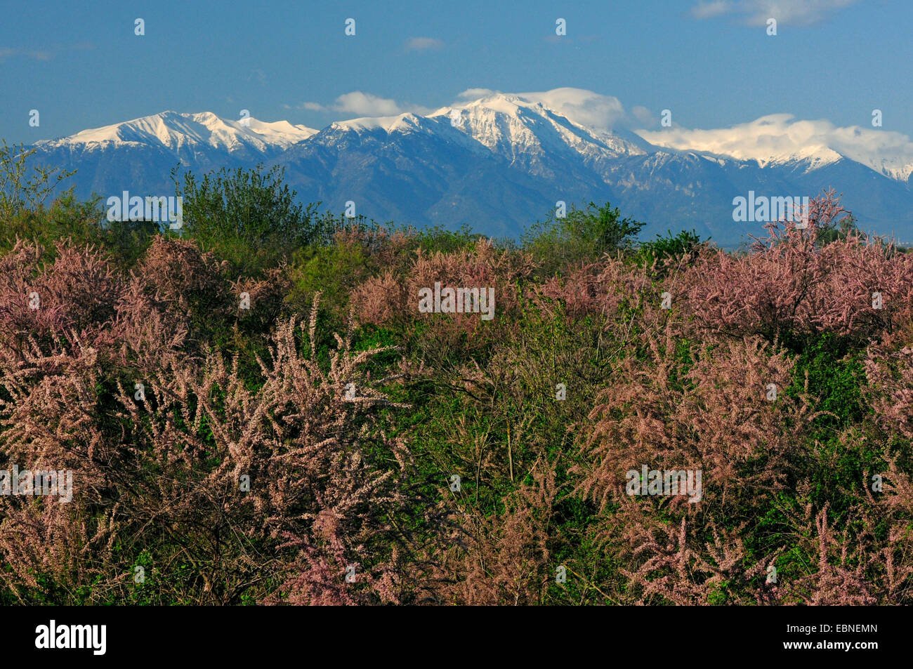 Panorama Blick auf die schneebedeckte Spitze des Olymps in Frühling, Griechenland, Mazedonien, Olymp Stockfoto