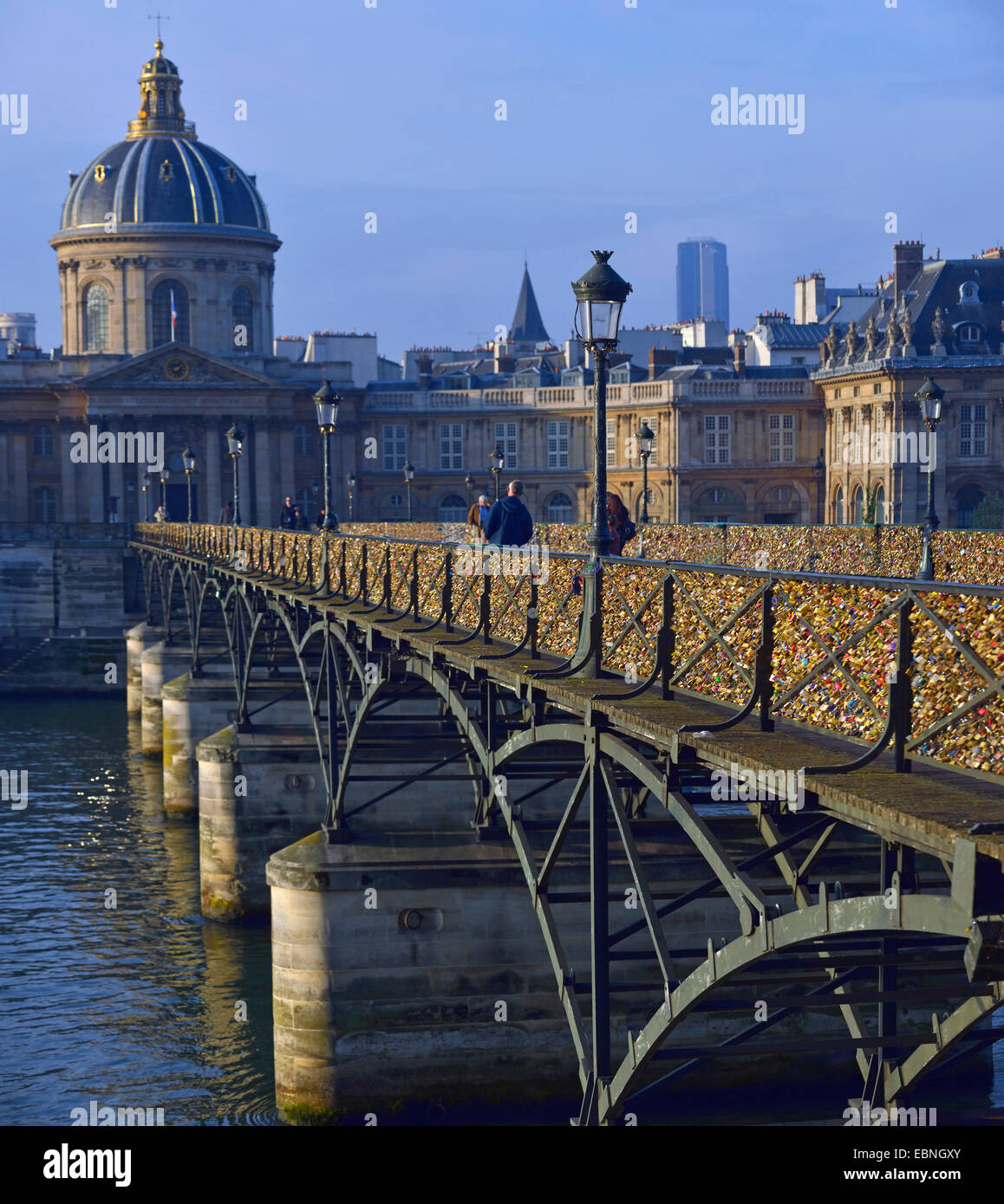 Liebesschlösser auf der Brücke Pont des Arts, Institut de France im Hintergrund, Frankreich, Paris Stockfoto