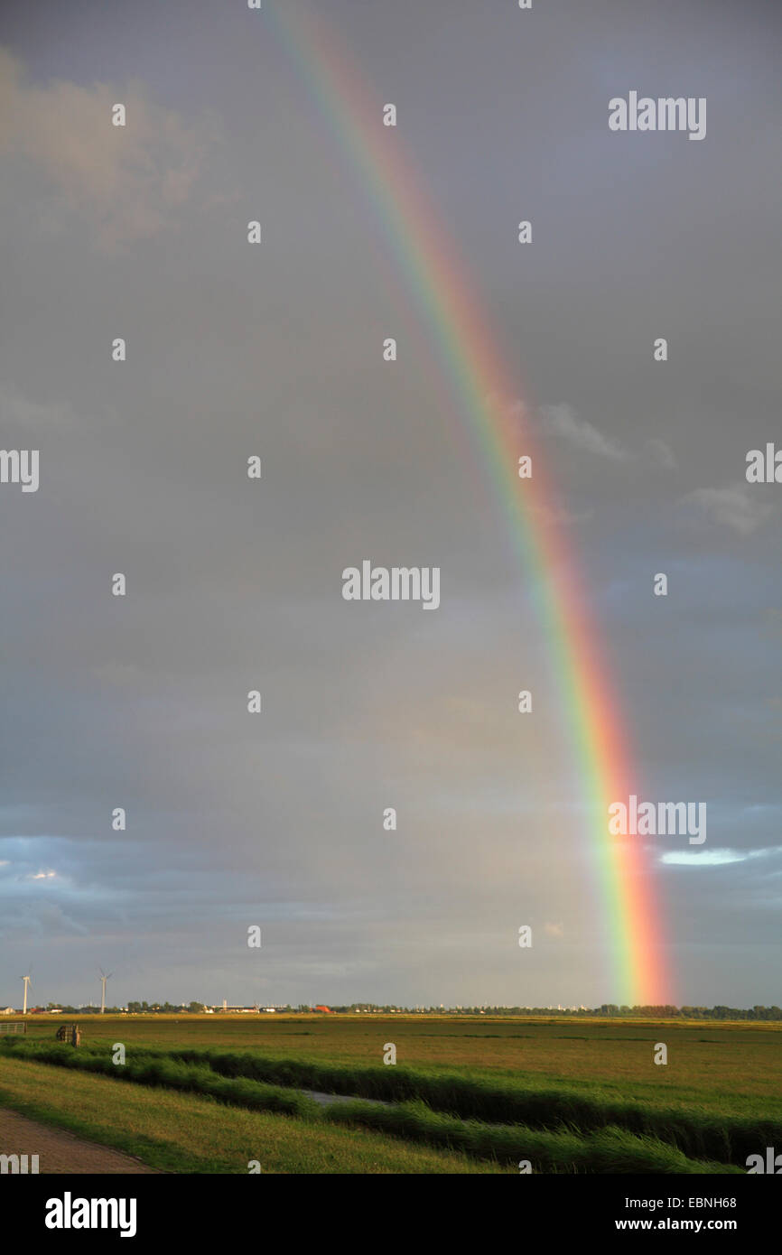 Regenbogen über Feuchtwiesen im Abendlicht, Niederlande, Friesland, Workum Stockfoto