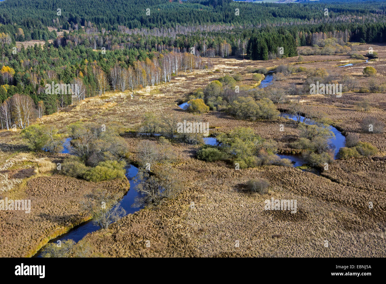 Luftbild Meadering Fluss und Hochmoor, Tschechische Republik, Sumava Nationalpark Stockfoto