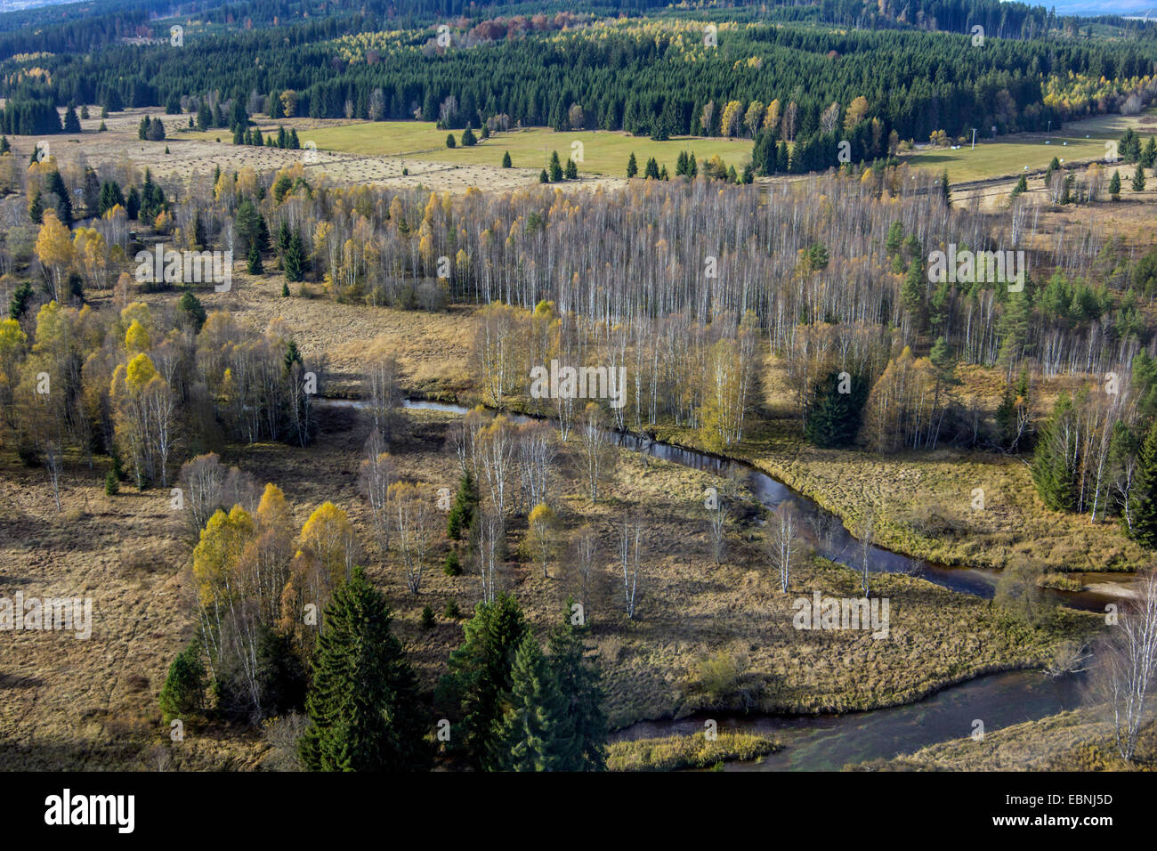 Kalte Moldau fließen Warme Moldau, Czech Republic, Sumava Nationalpark Stockfoto