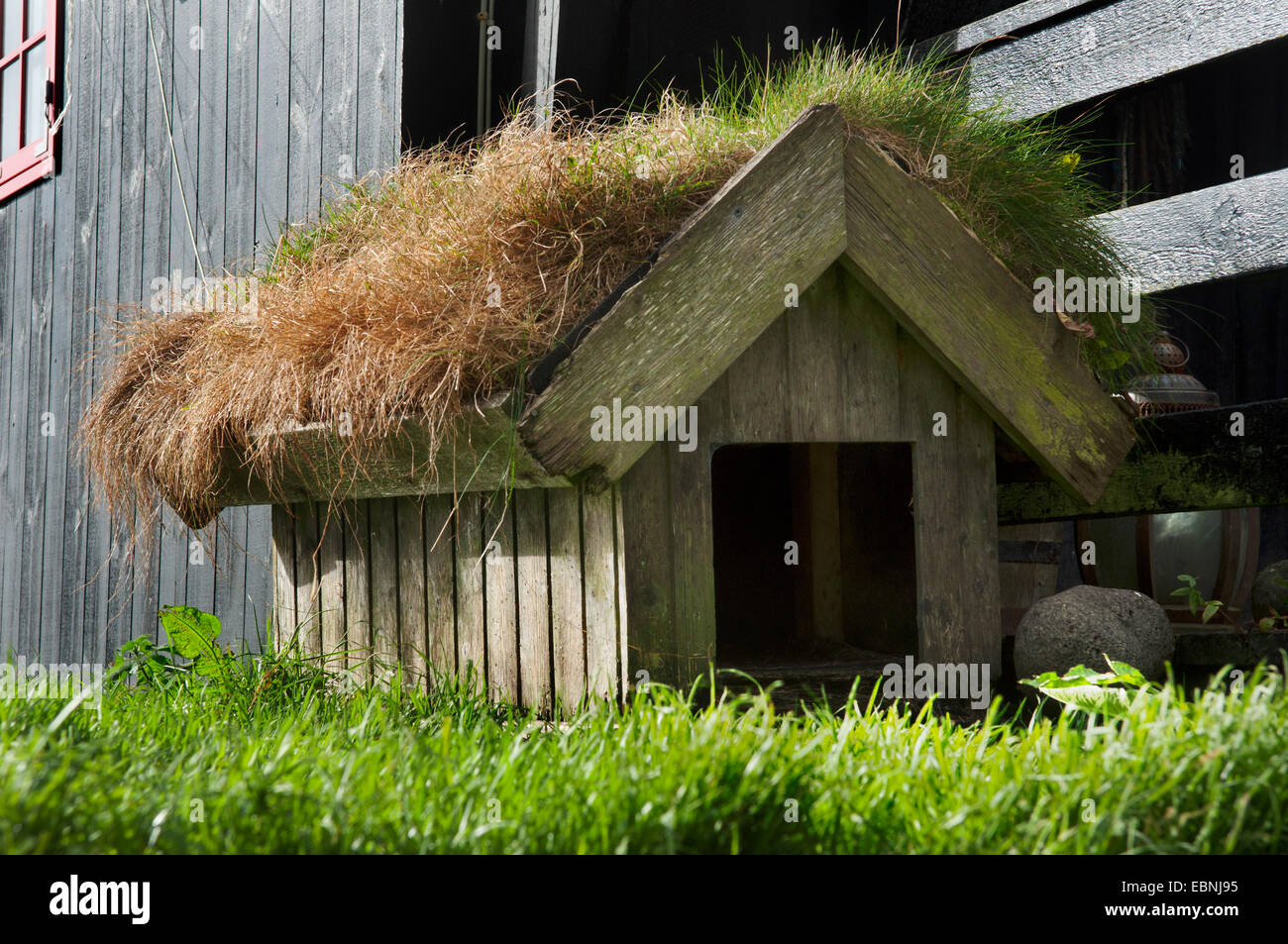 Eine sod Dach Doghouse, Kirkjubour, Streymoy Island Färöer Stockfoto