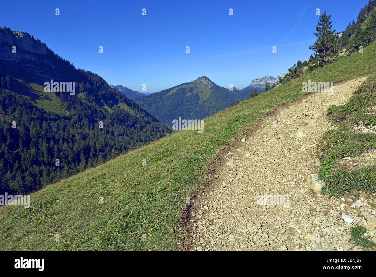 Landschaft im Naturpark der Chartreuse, Alpen, Frankreich, Grenoble Stockfoto