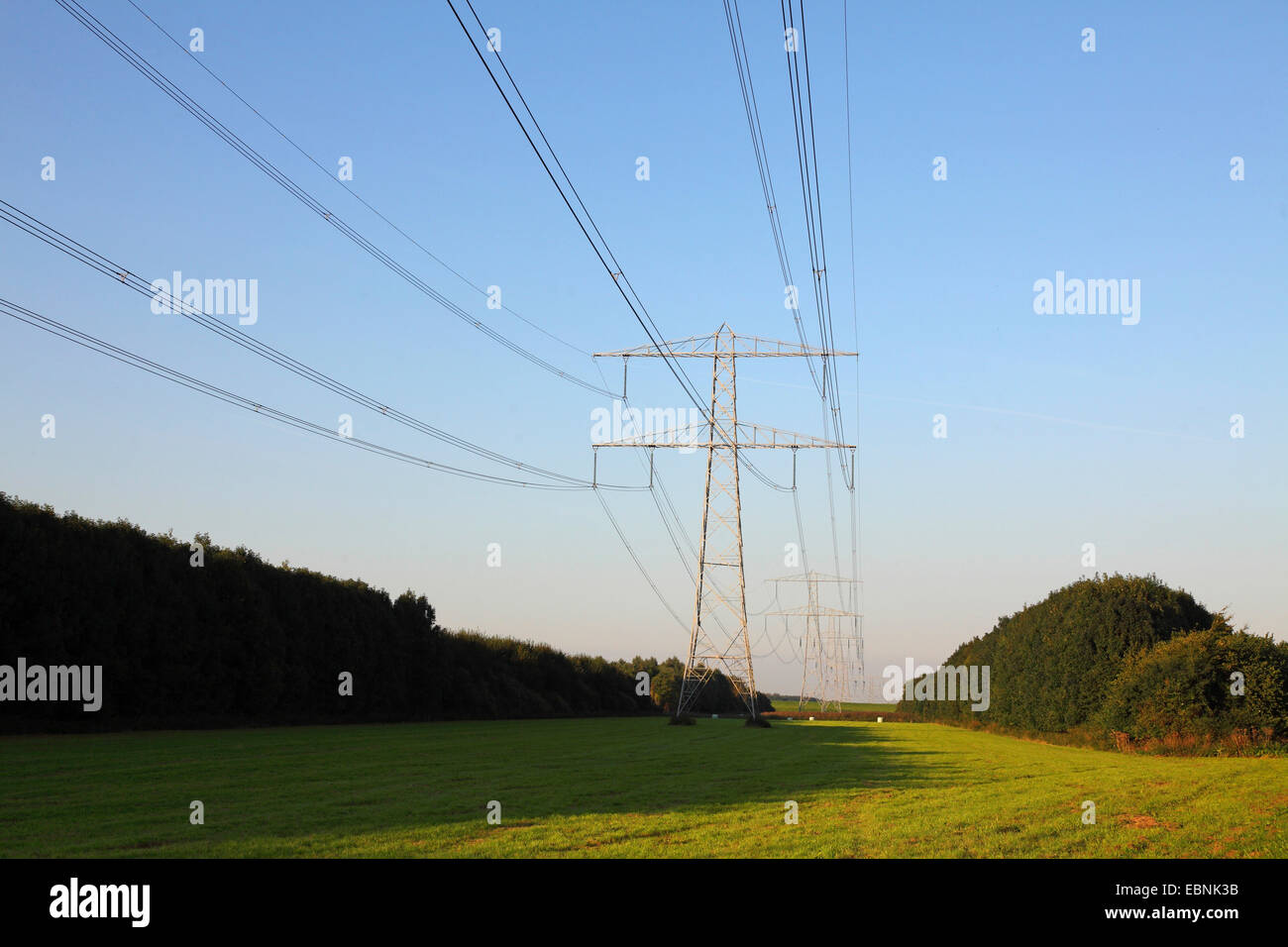 Strom-Übertragungsleitungen Niederlande, Flevoland Stockfoto