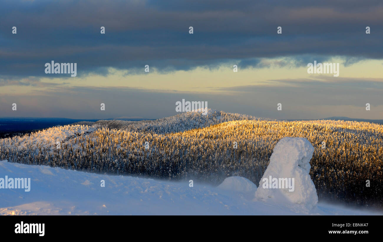 verschneite Winterwald bei einem Wintersturm in Rukatunturi, Mount Valtavaara im Hintergrund, Finnland, Kuusamo Stockfoto
