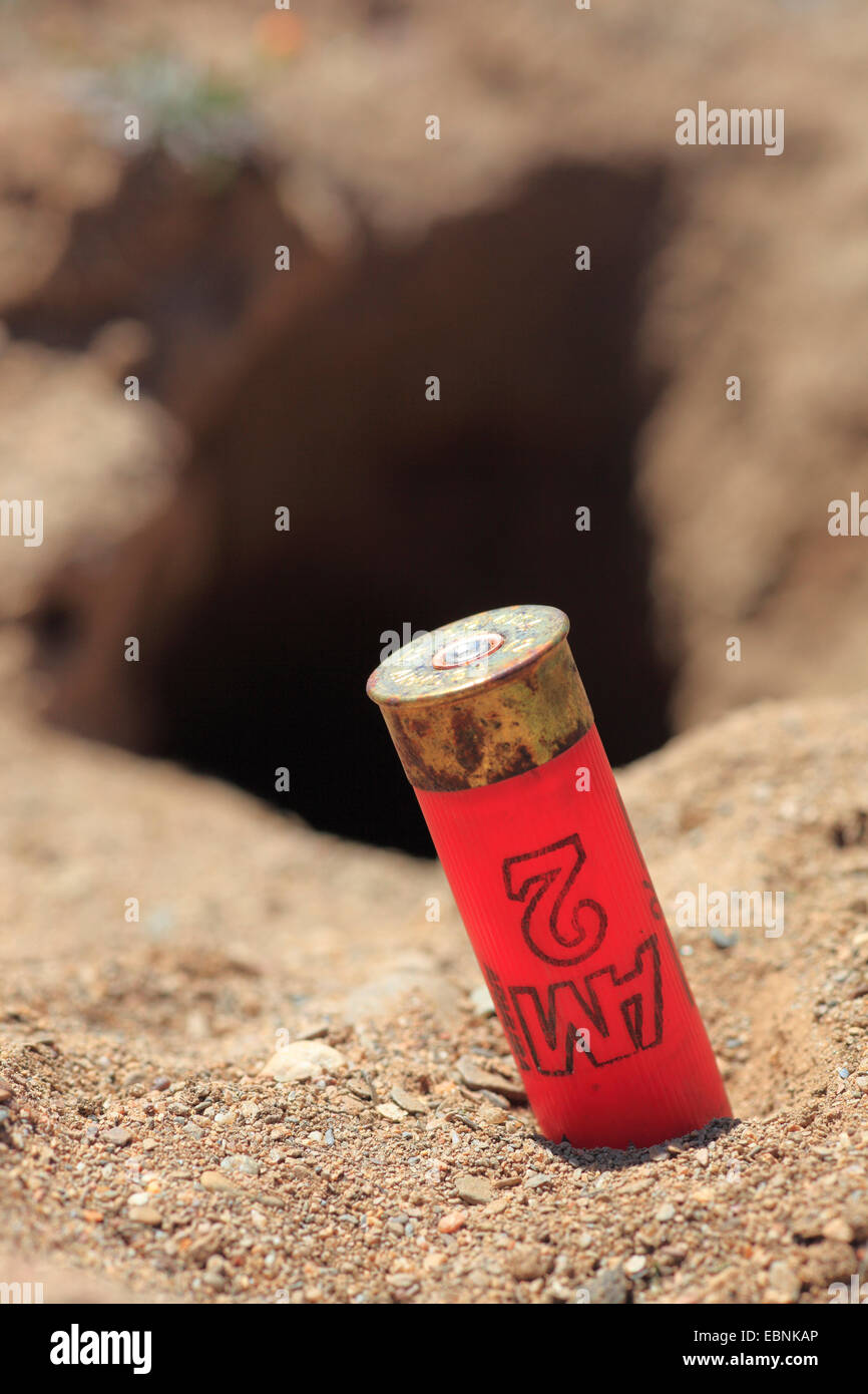 Europäischen Kaninchen (Oryctolagus Cuniculus), Bullet Gehäuse vor Kaninchen Burrow, Spanien, Andalusien, Sierra Morena Stockfoto