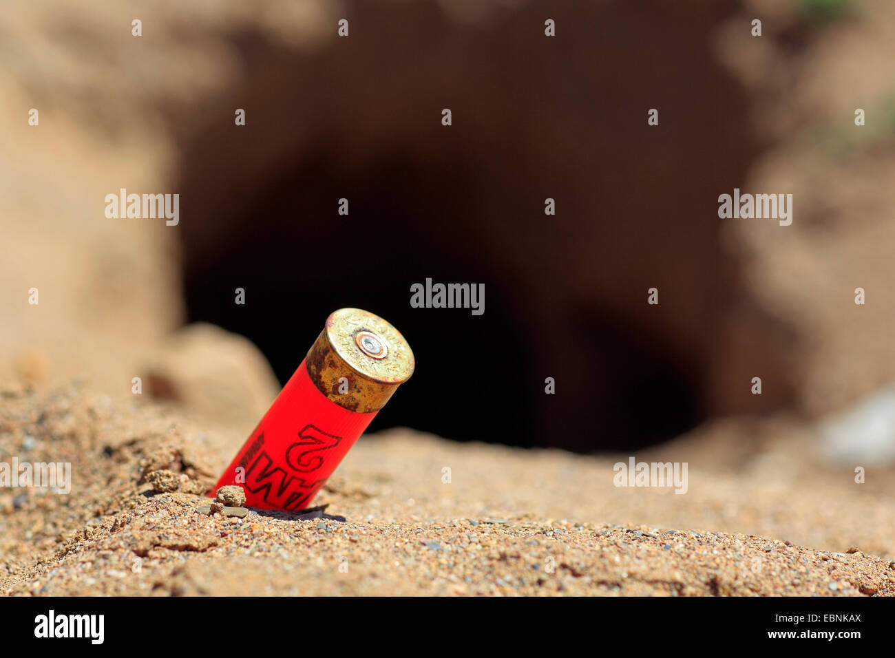 Europäischen Kaninchen (Oryctolagus Cuniculus), Bullet Gehäuse vor Kaninchen Burrow, Spanien, Andalusien, Sierra Morena Stockfoto