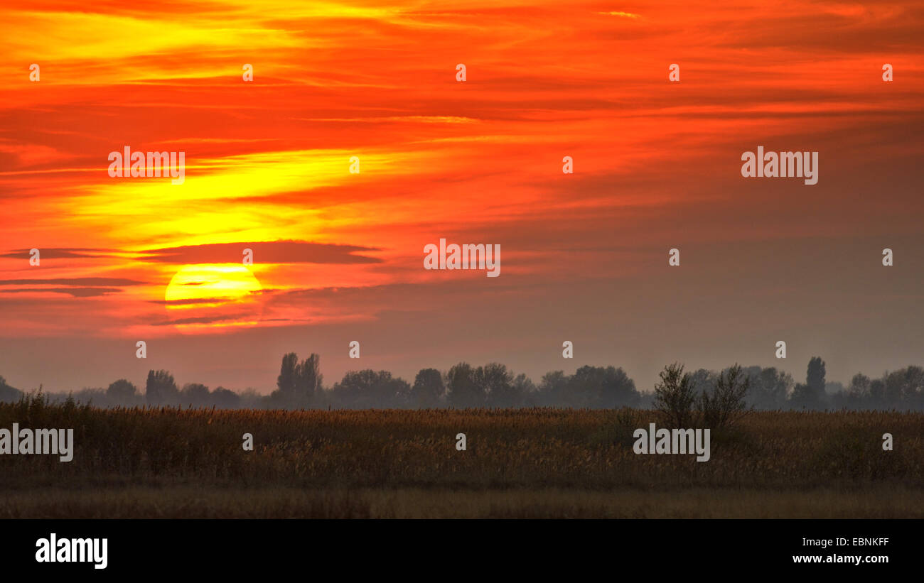 Puszta in Abendstimmung, Ungarn, Puszta Stockfotografie - Alamy