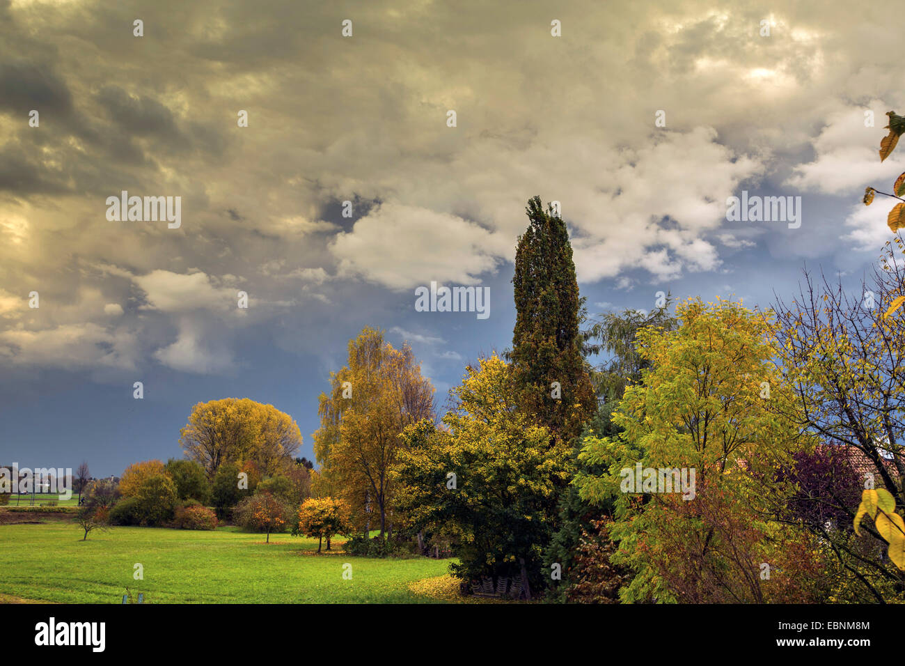 nach Gewitter in Herbst, Deutschland, Bayern, Isental Stockfoto