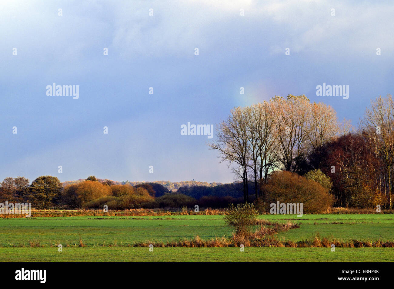 Tietjens Hütte Landkreis Osterholz, Blick über Wiesen der Hamme in Worpswede und der Weyerberg, Deutschland, Niedersachsen, Osterholz Stockfoto