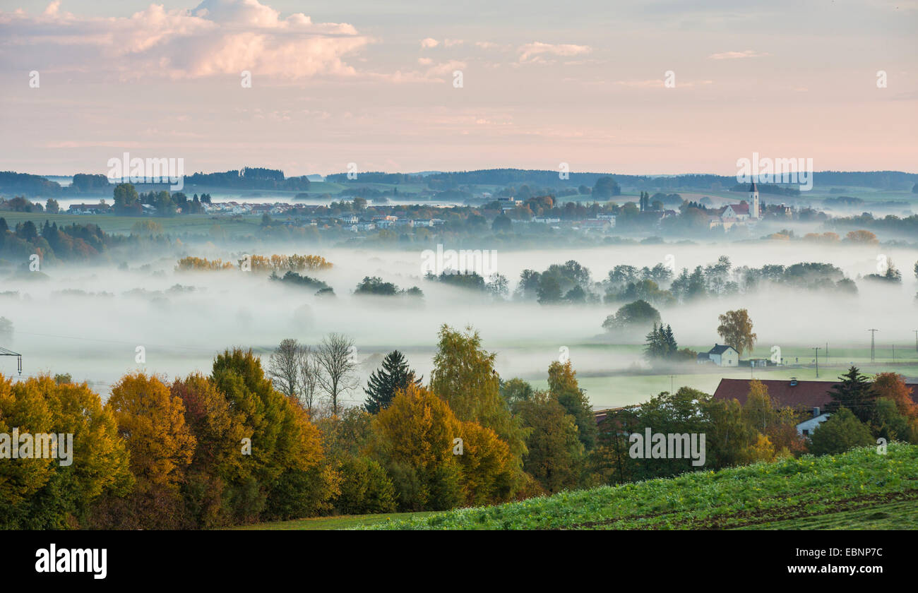 Wald und Wiesen im Morgennebel, Deutschland, Bayern, Isental, Dorfen Stockfoto