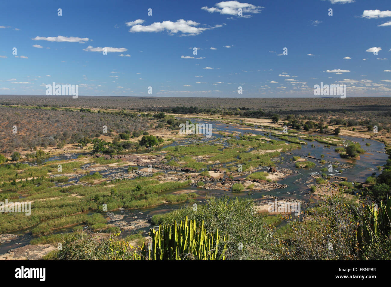 Olifants River gesehen vom Olifants Camp, Südafrika, Kruger National Park Stockfoto