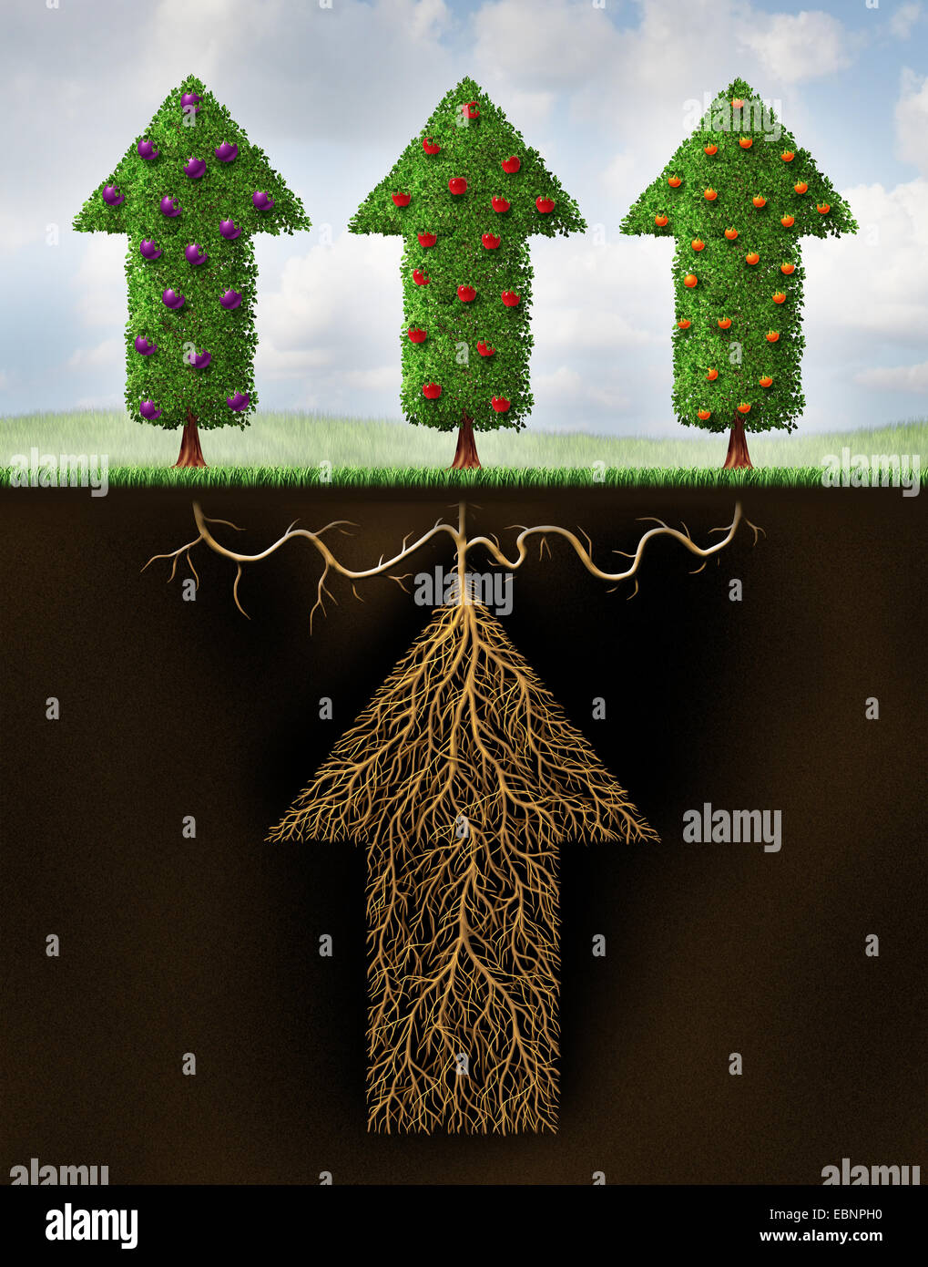 Diversifiziert investieren finanzielle Portfolio als Metapher für die Planung und Reichtum Finanzstrategie Unternehmen durch Investitionen in verschiedene Märkte für das Risiko zu reduzieren, als ein Pfeil Wurzelsystem wachsen drei Arten von Obst als Symbol der Diversifizierung. Stockfoto