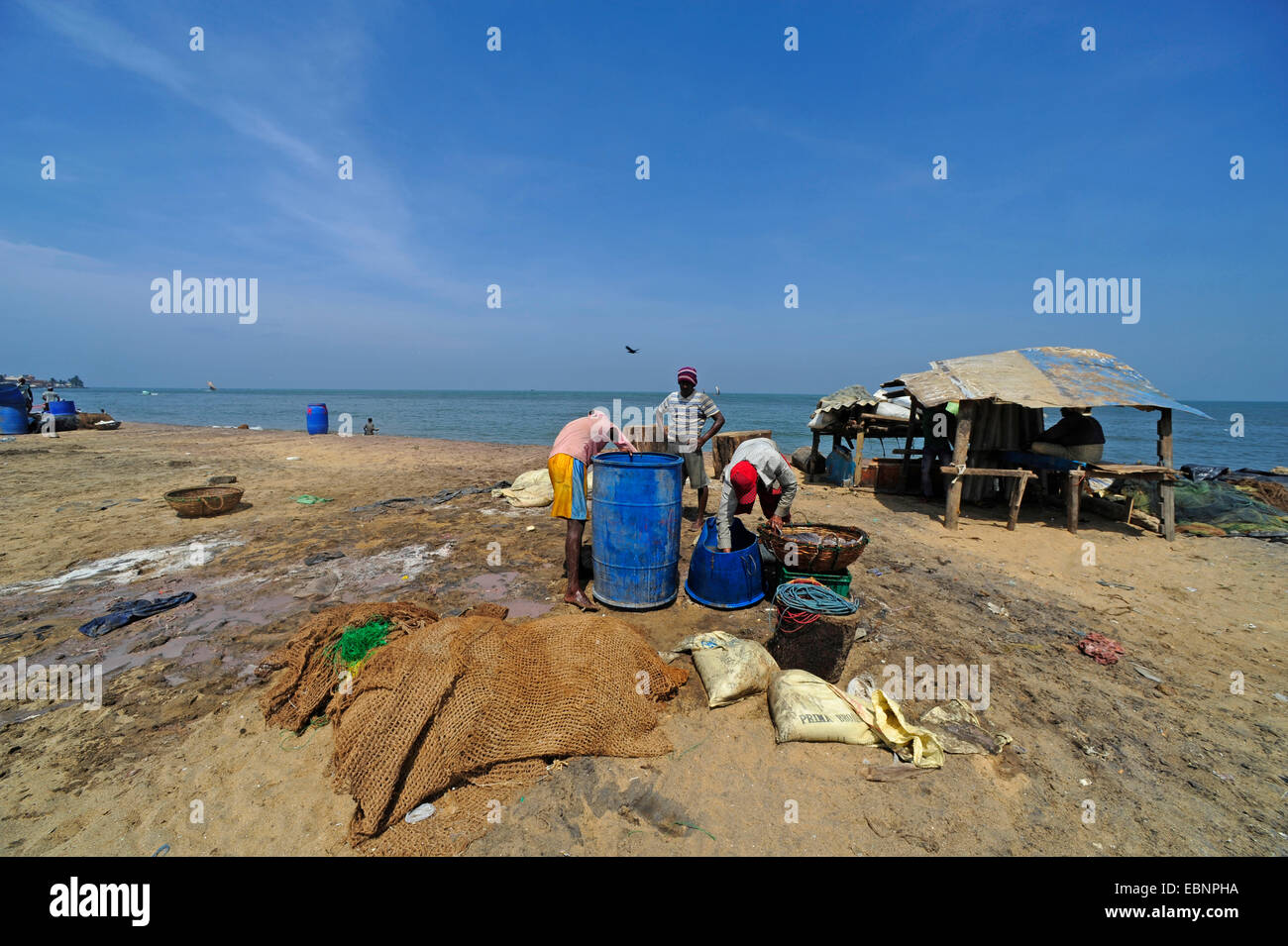 arbeiten Fischer am Strand von Negombo, Sri Lanka, Negombo Stockfoto