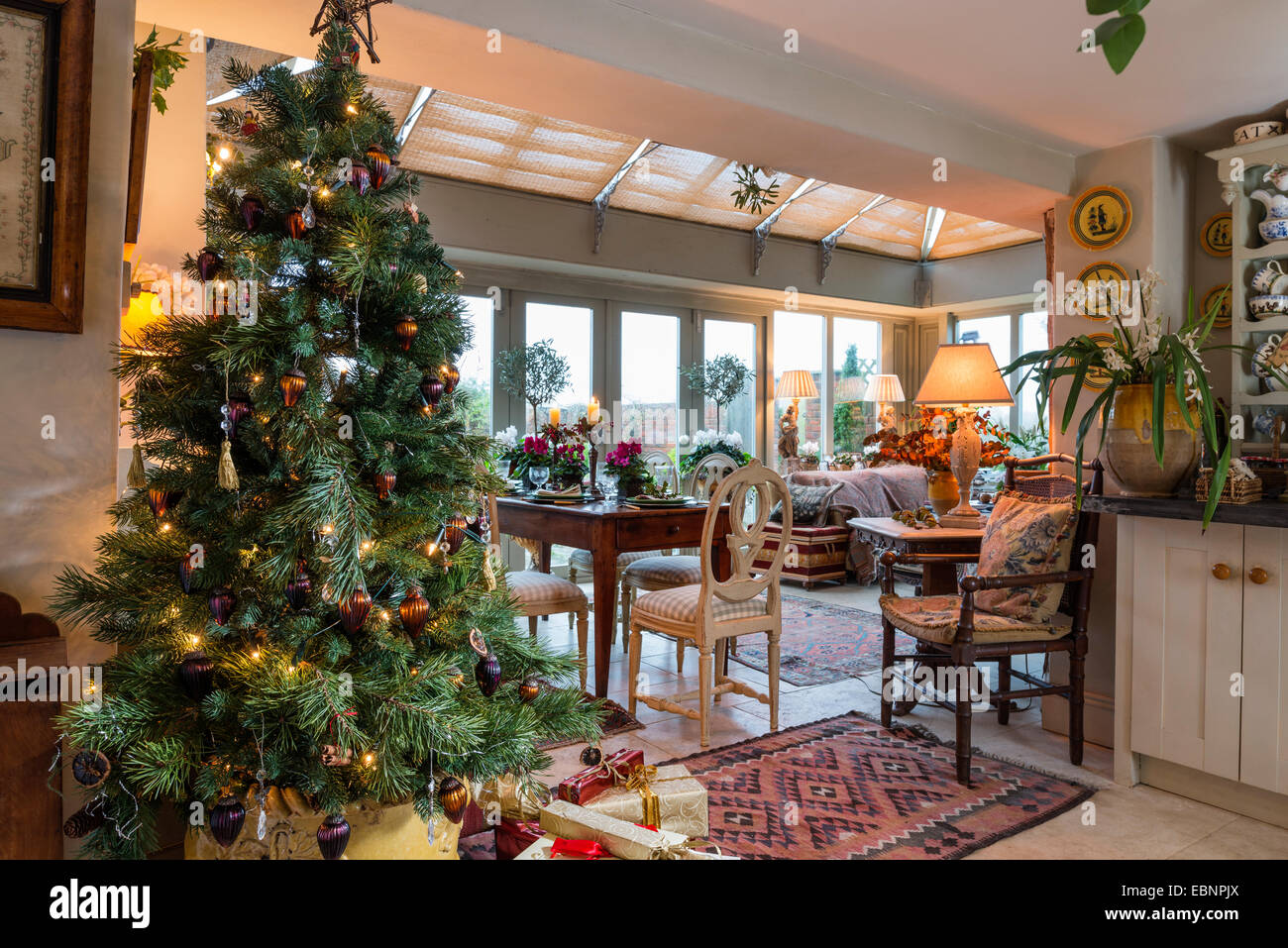 Weihnachtsbaum mit Esstisch und Orangerie im Hintergrund dekoriert Stockfoto