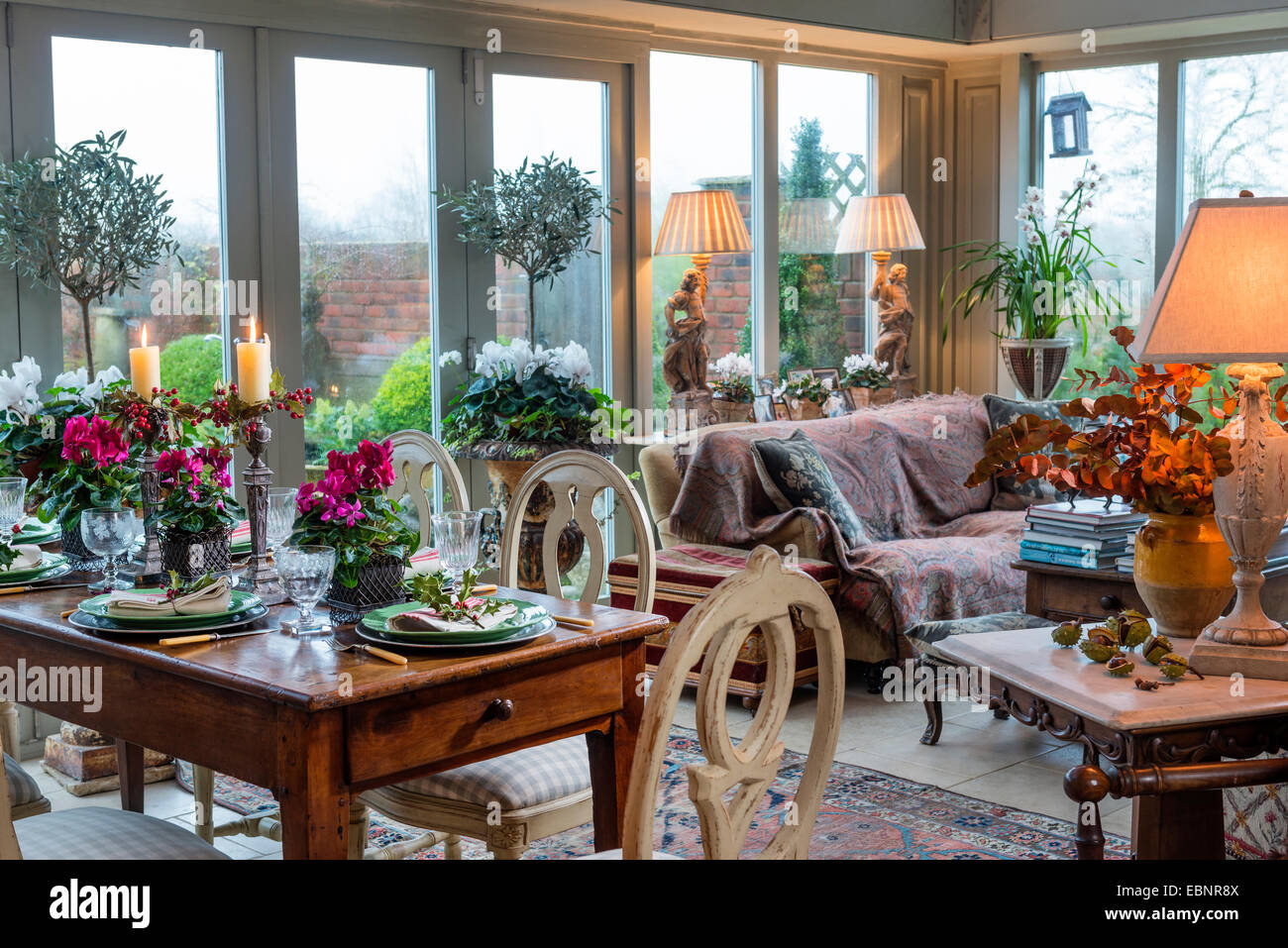 Gedeckten Tisch für ein festliches Mahl in einer Orangerie mit eingemachten Alpenveilchen Stockfoto