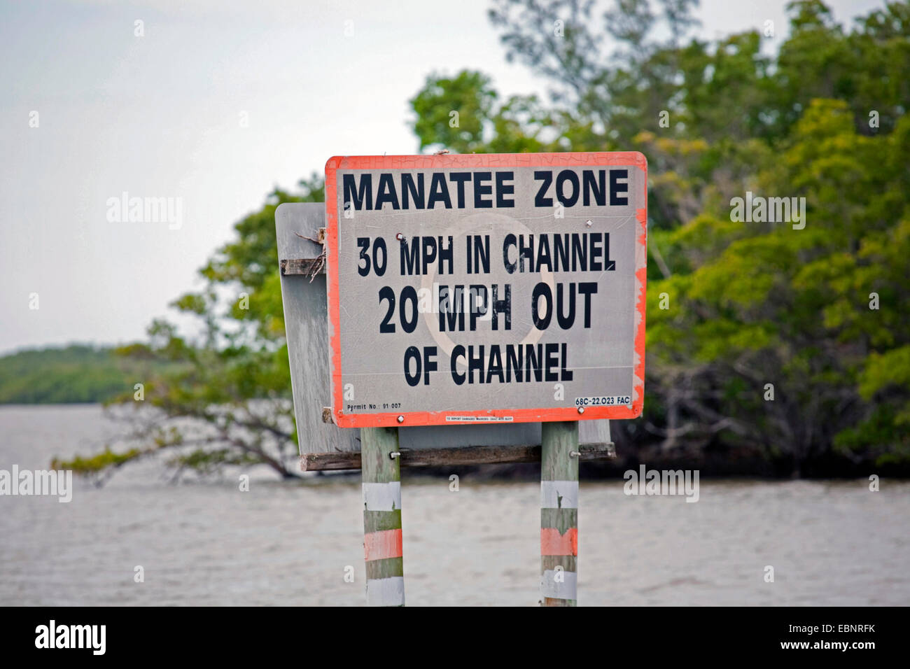 West Indian Manatee, Florida Seekuh, karibische Seekuh, Antillean Manati (Trichechus Manatus Latirostris) Tempolimit Schild für Seekühe, USA, Florida, Ten Thousand Islands, Everglades Nationalpark Stockfoto