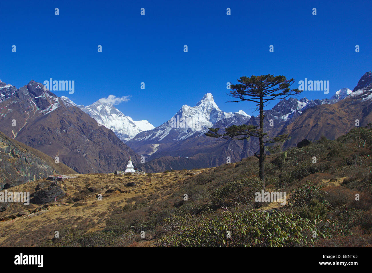 Lhotse und Ama Dablam, vor ihnen Sir-Edmund-Hillary-Stupa über Khumjung, Nepal, Himalaya, Khumbu Himal Stockfoto