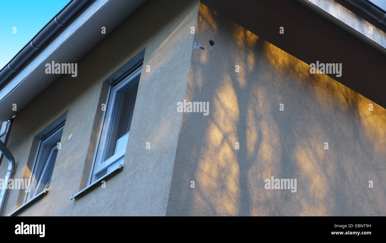 Specht ist ganze in einer Fassade, Witten, Ruhrgebiet, Nordrhein-Westfalen, Deutschland Stockfoto