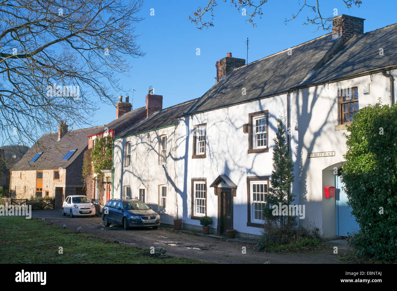 Reihe von traditionellen weißen gemalten Cottages, Shincliffe Dorf, County Durham, England, UK Stockfoto