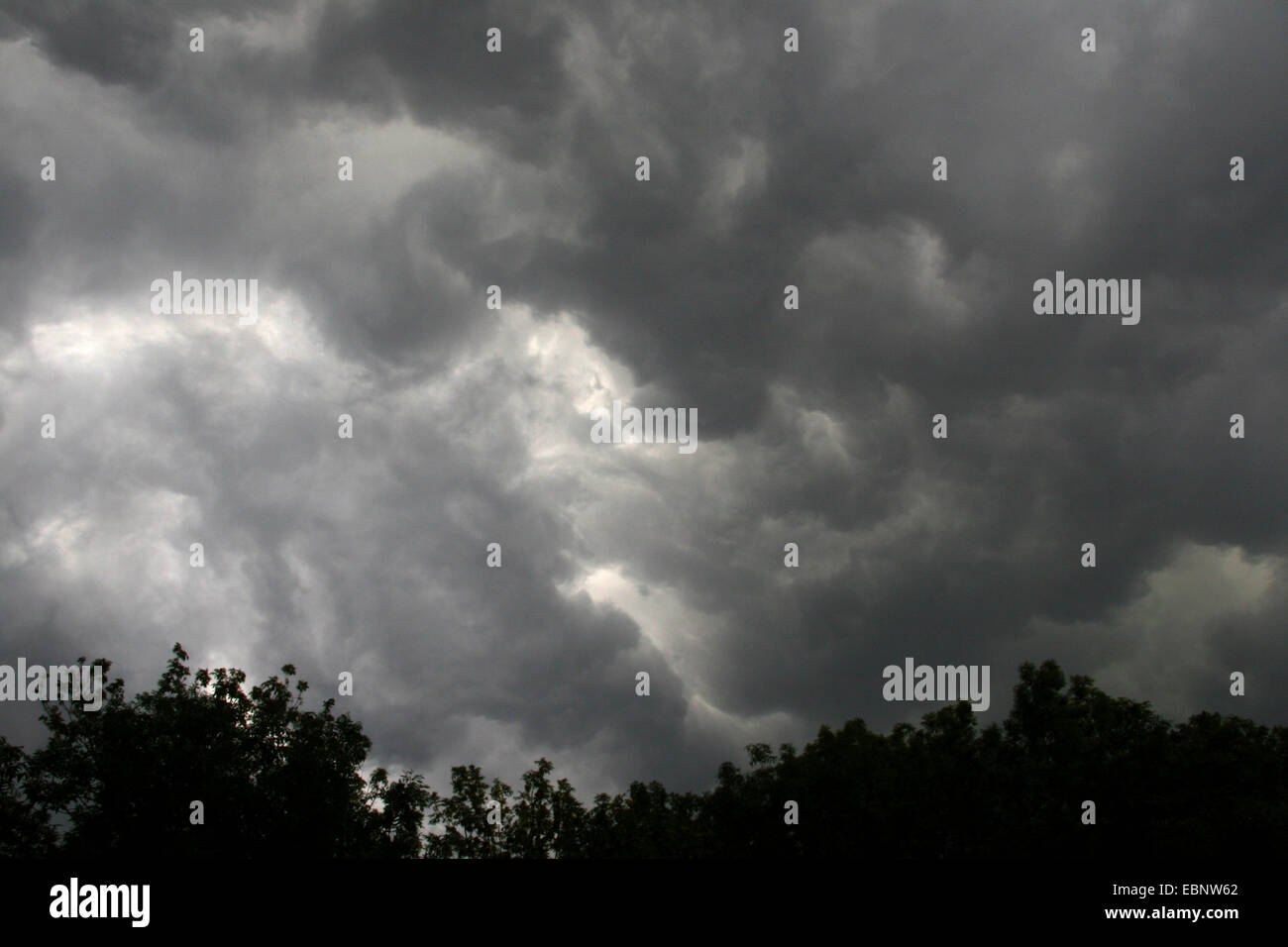 dunkle Wolken über Bäume, Deutschland Stockfoto
