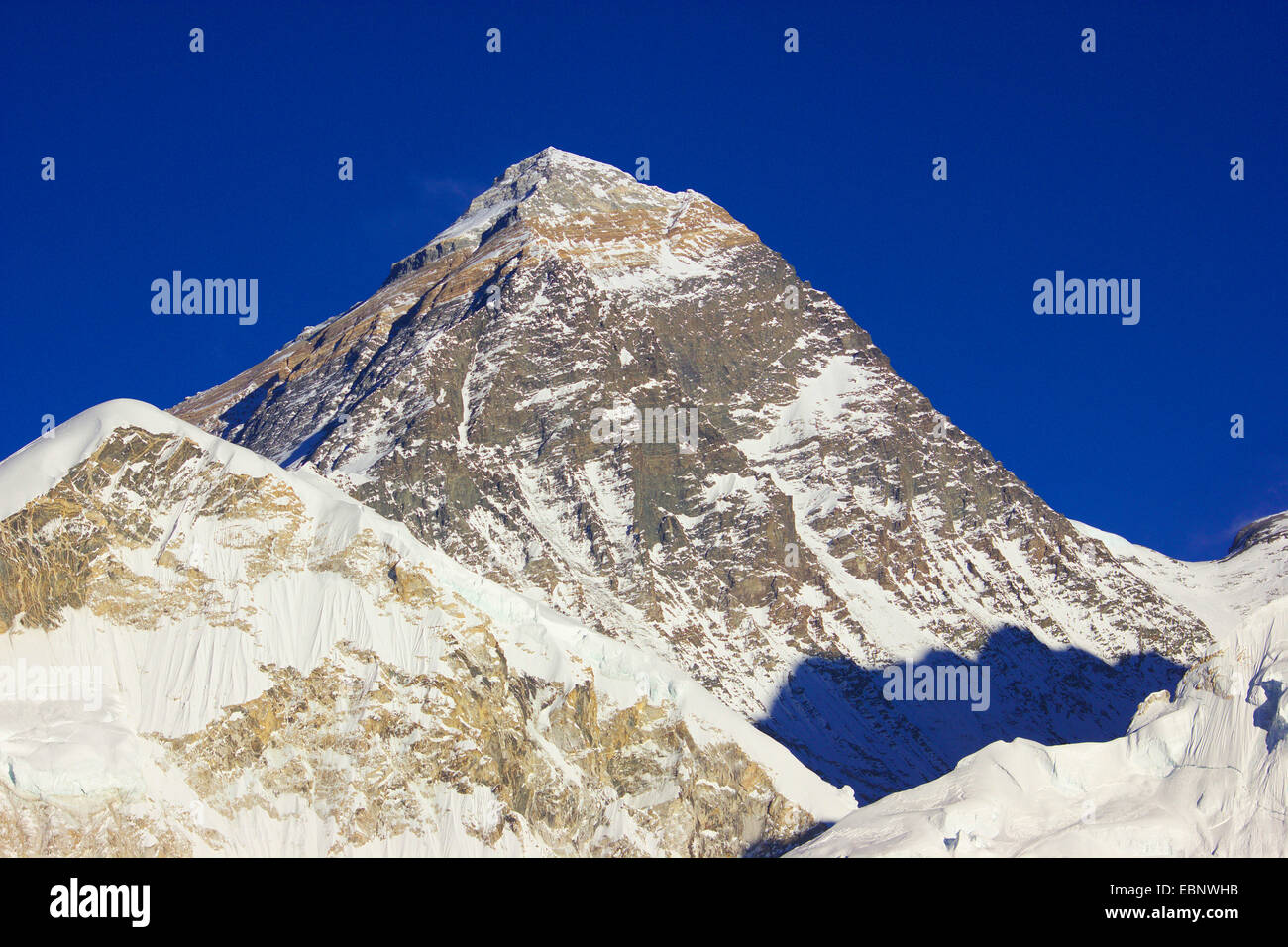 Mount Everest (vorne: West-Schulter). Abendlicht. Aussicht vom Kala Patthar, Nepal, Himalaya, Khumbu Himal Stockfoto