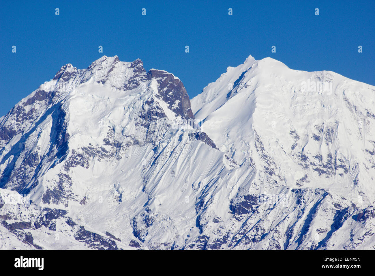Ganesh V und Ganesh ich (Yangra); Ganesh Himal. Ganesh Himal mit Ganesh IV (Pabil), Ganesh III (Salasungo), Ganesh V und Ganesh ich sehe (Yangra) im Morgenlicht von Laurebina Yak im Langtang Himal, Nepal Langtang Himal Stockfoto