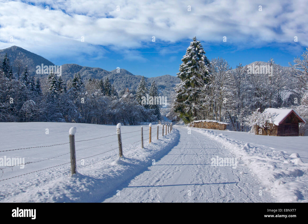 Pfad in der verschneiten Landschaft, Deutschland, Bayern, Oberbayern, Oberbayern, Unterammergau Stockfoto