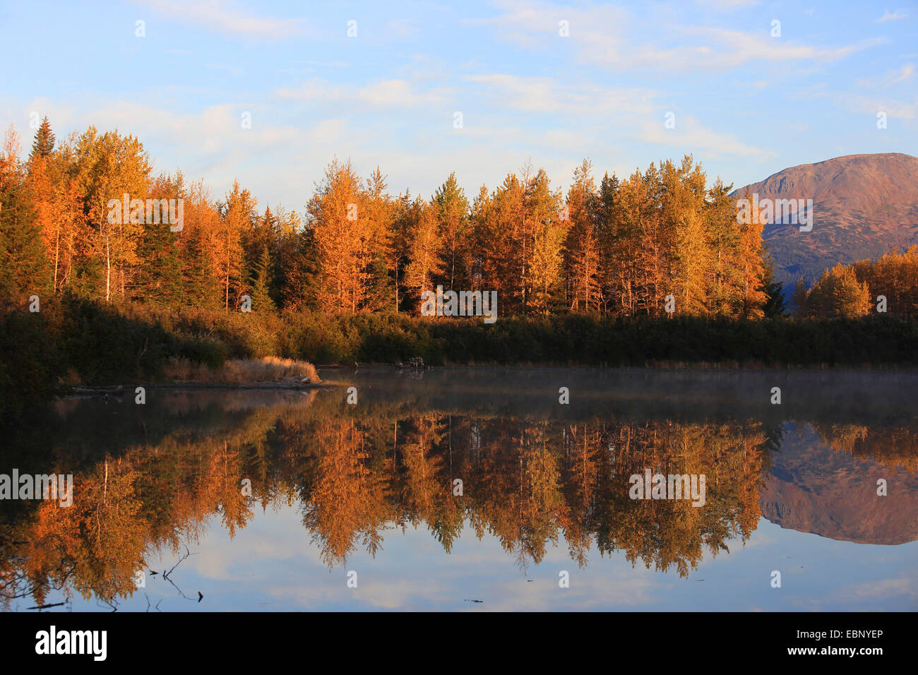 herbstliche Landschaft mit See an der Chugach National Forest, USA, Alaska Stockfoto