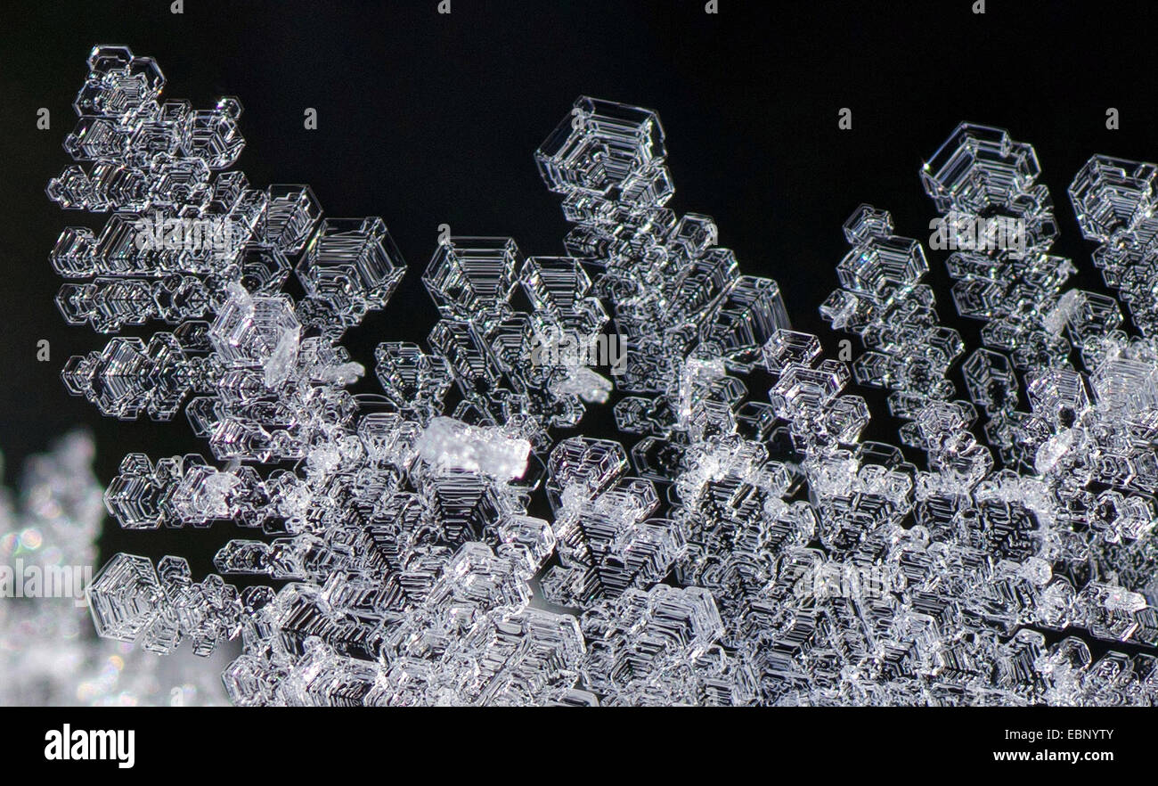 Eiskristalle, Oberbayern, Oberbayern, Bayern, Deutschland Stockfoto
