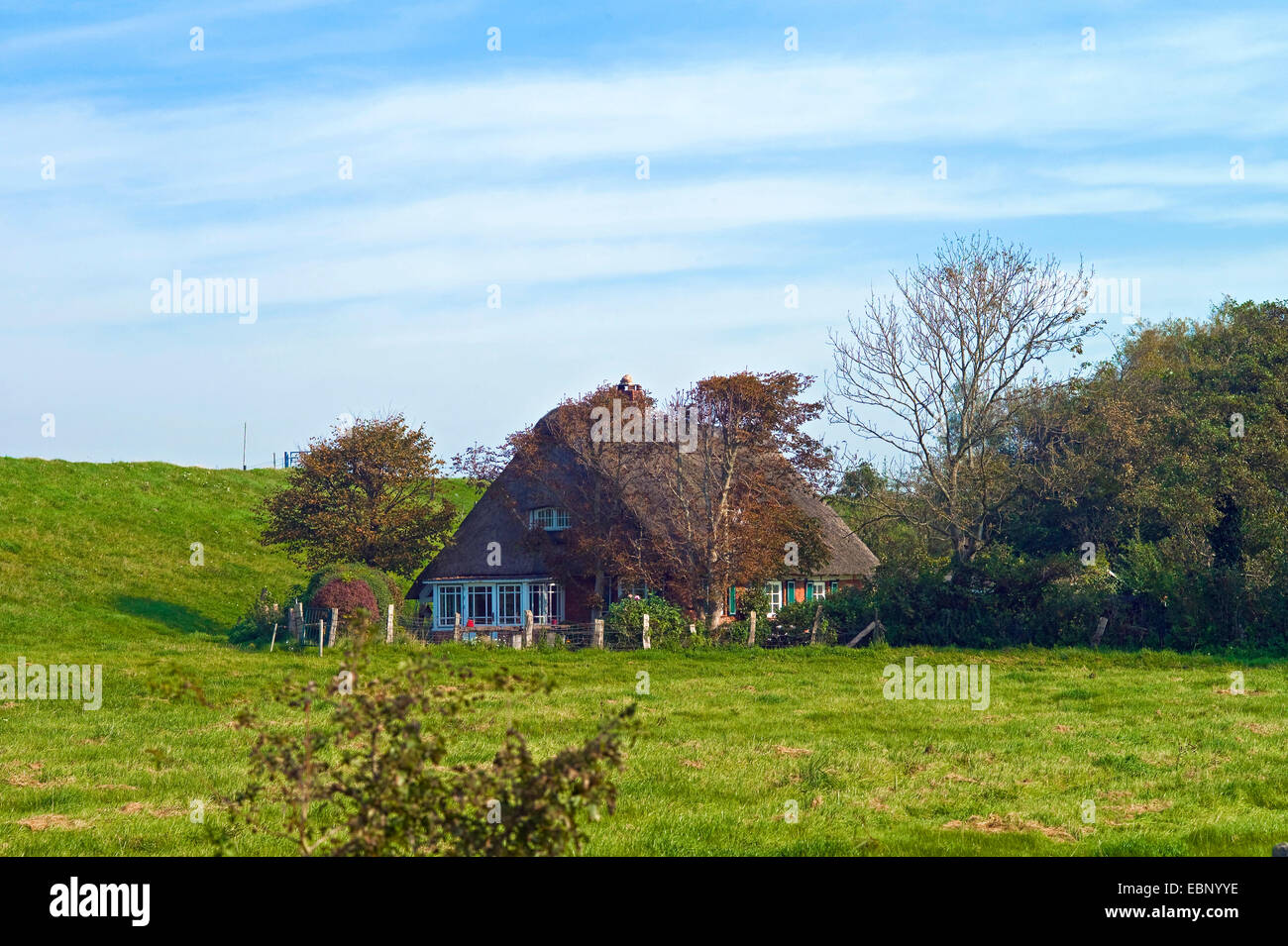 strohgedeckte Haus hinter Deich, Deutschland, Niedersachsen, Neuhaus an der Elbe Stockfoto