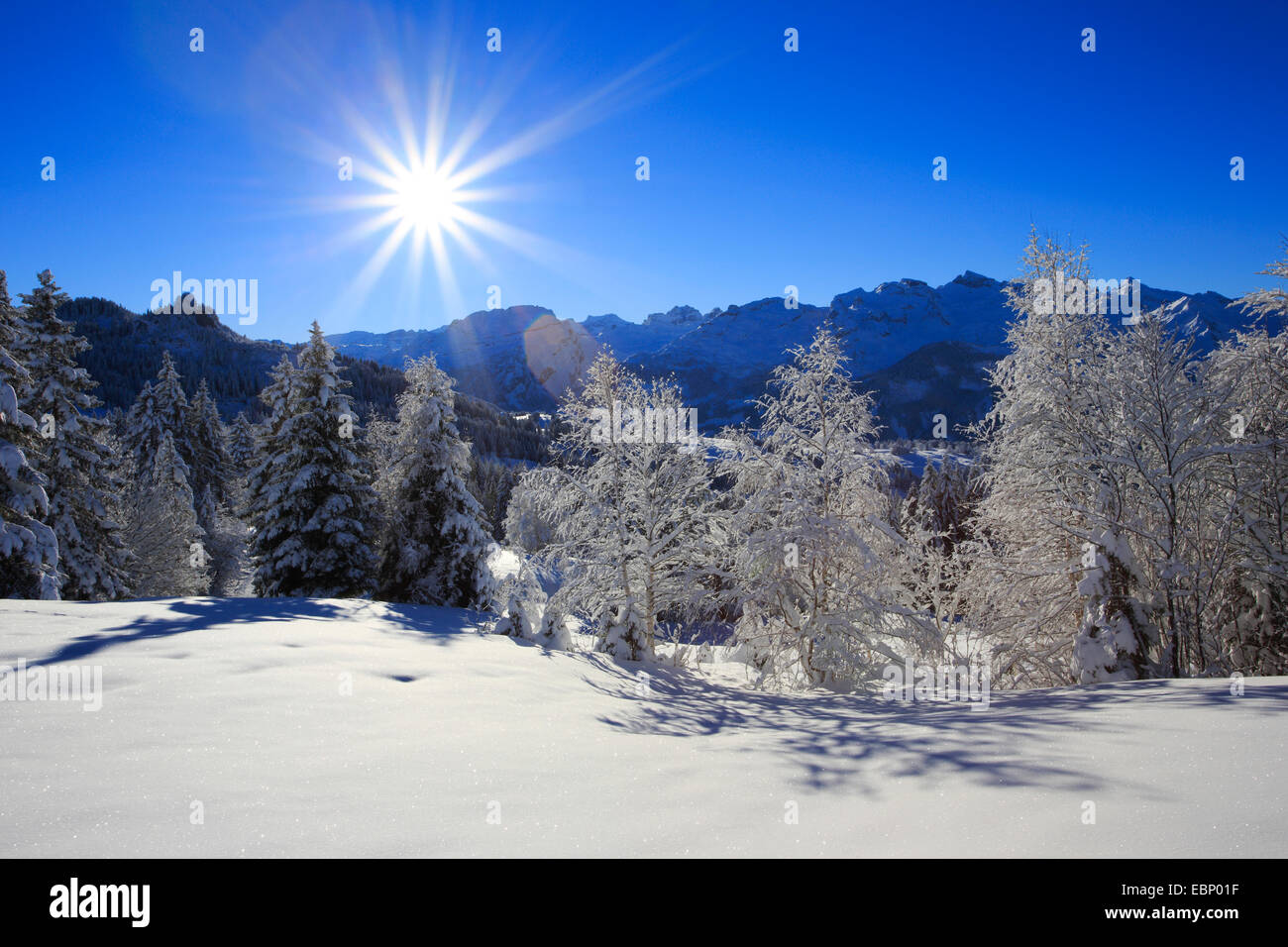 Zentralschweizer Alpen im Winter, Schweiz Stockfoto