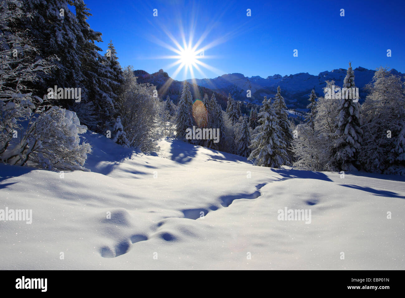 Zentralschweizer Alpen im Winter, Schweiz Stockfoto