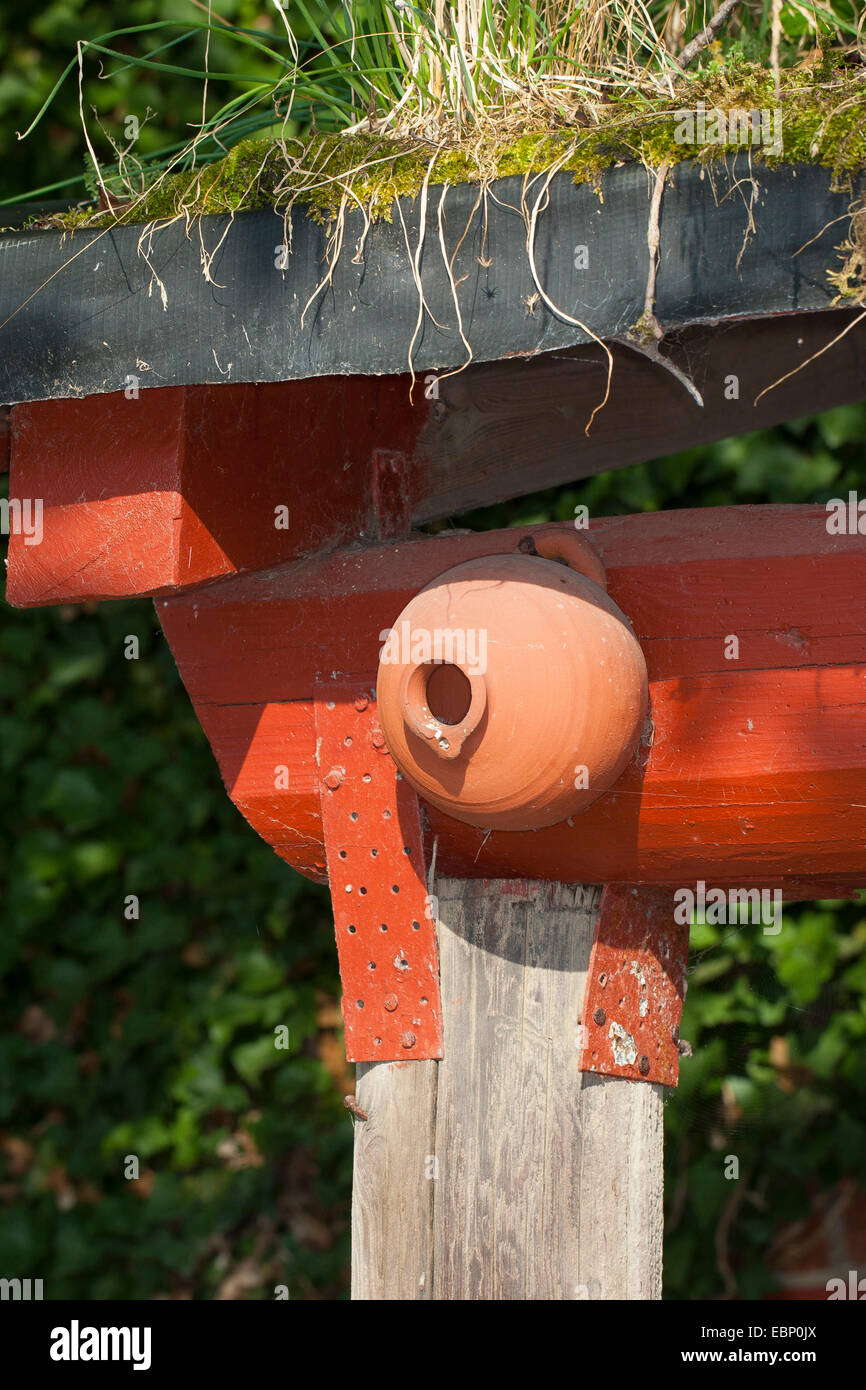 Lehm-Nistkasten, Deutschland Stockfoto