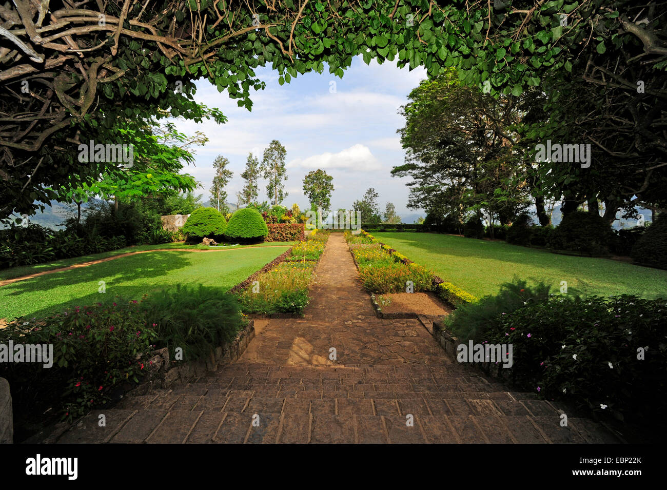 Garten von einem Gutshof, Sri Lanka Stockfoto