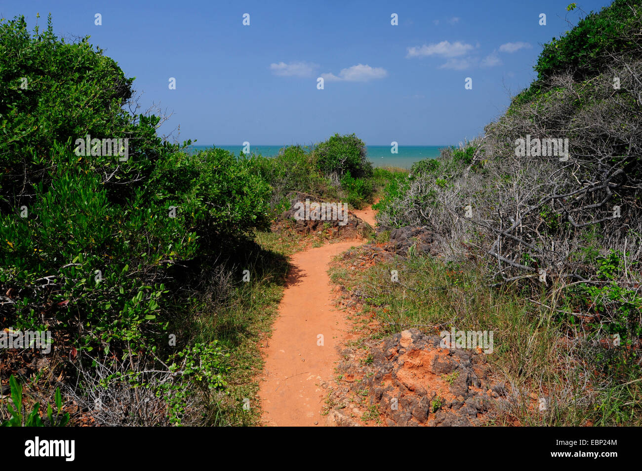 Wanderweg an der Küste, Sri Lanka, Wilpattu Nationalpark Stockfoto