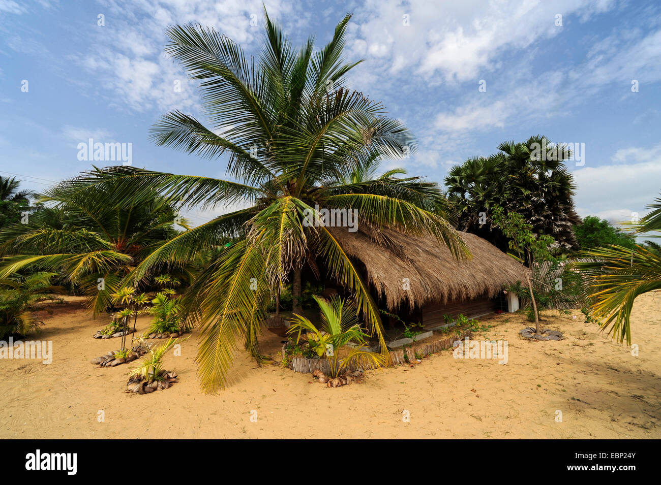 Strand-Bungalow, Sri Lanka Stockfoto